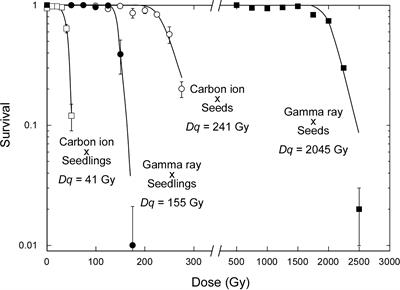 Comparative analysis of seed and seedling irradiation with gamma rays and carbon ions for mutation induction in Arabidopsis